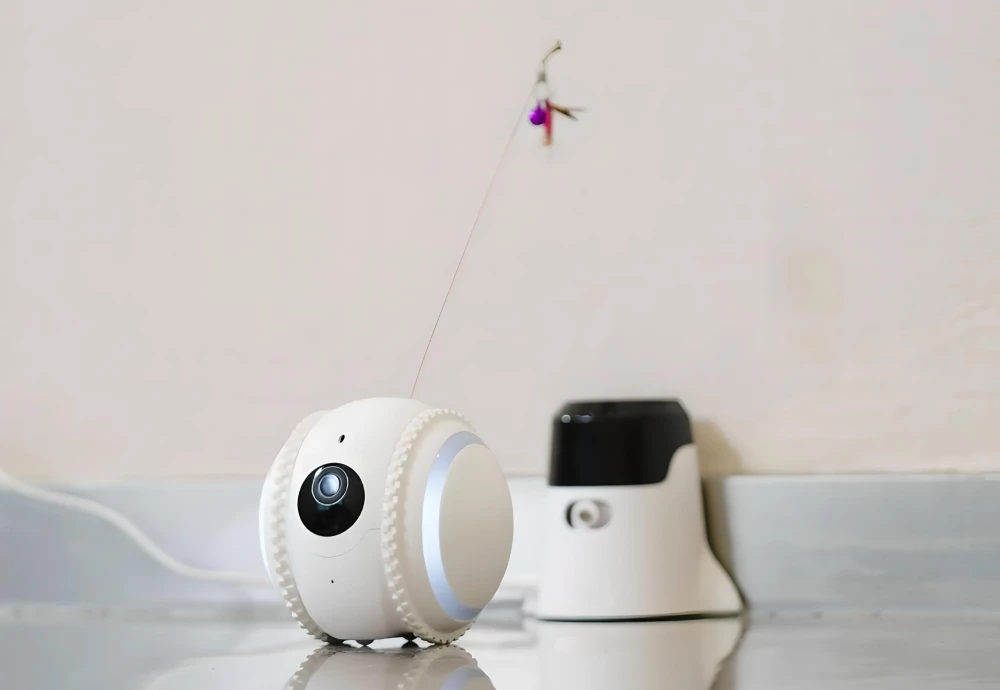 home pet camera