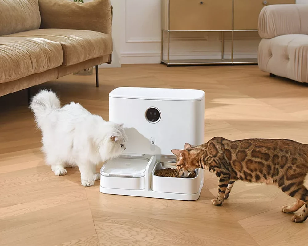 automatic pet food dispenser