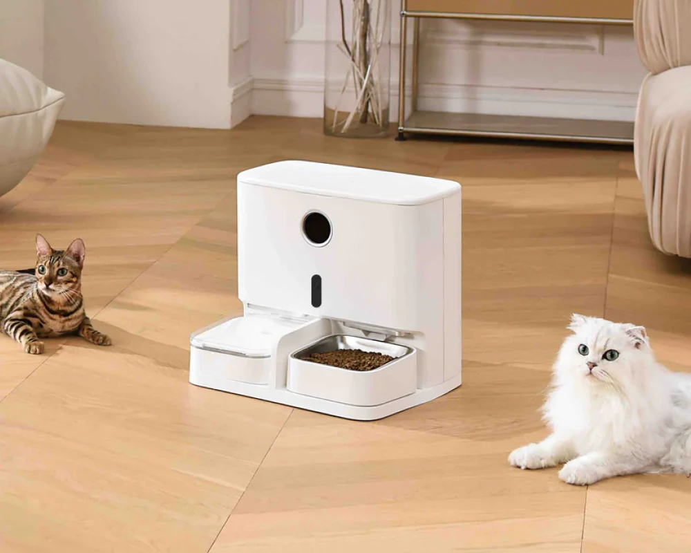 cat automatic pet feeder