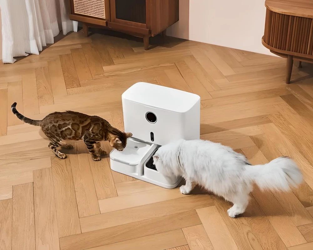 cat automatic pet feeder